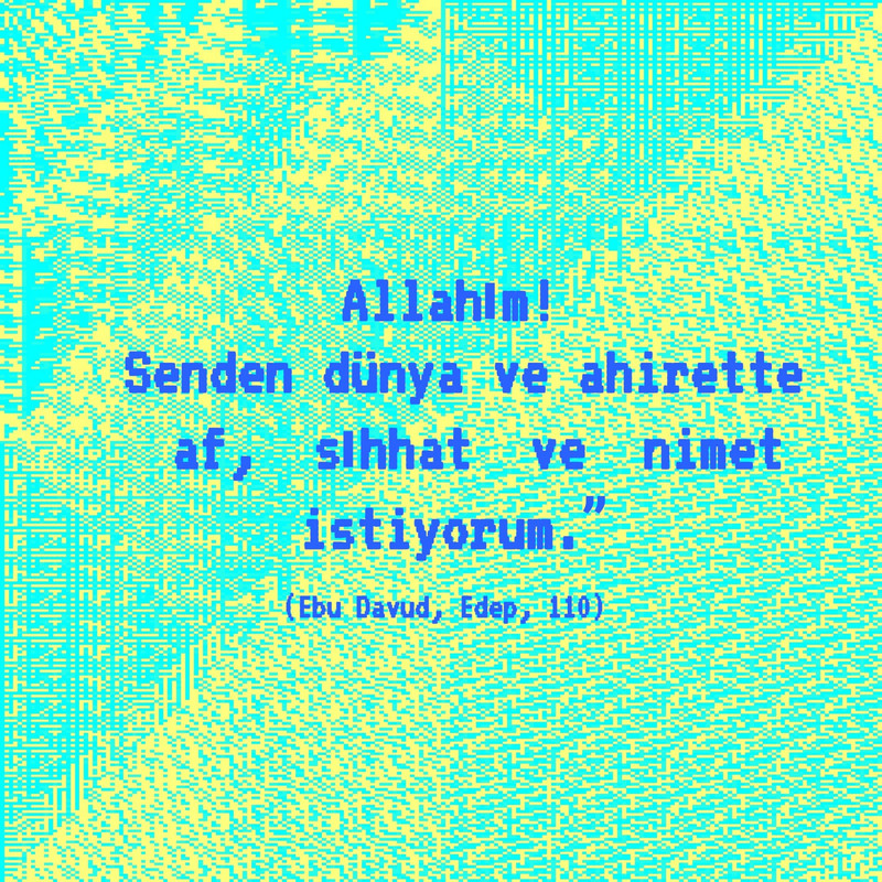 IMG 20260202 WA0004