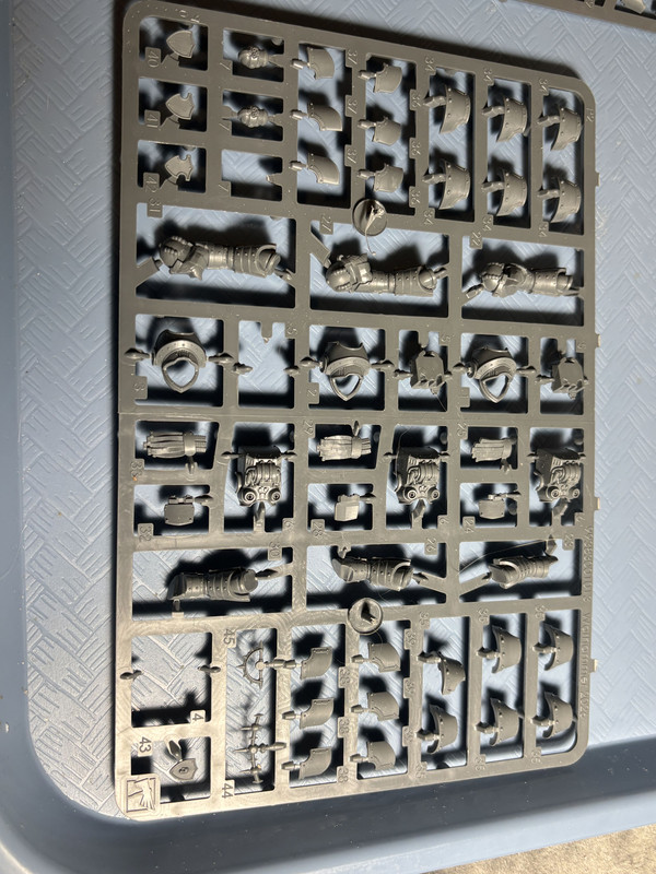 Cataphractii (2026 Both Sets from Siege Box) 07