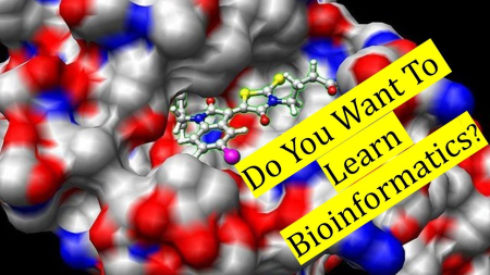 Bioinformatics; Learn Docking & Mol Dynamics Simulation