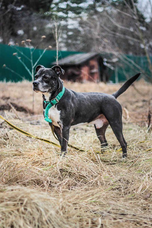 без имени-0433