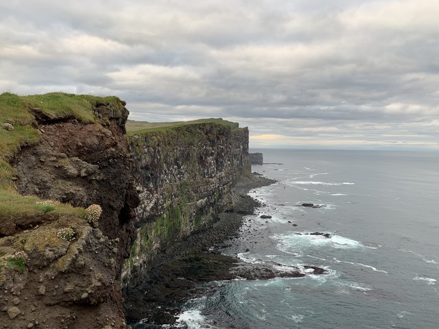 DIA 11 JULIO/22 DESTINO LATRABJARG A VER FRAILECILLOS - Islandia, 17 días..."sin sus noches" Julio 2022 (11)