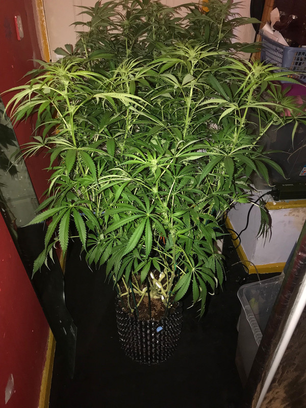 6C16E81A-A0FD-46FF-BFFC-798548BD7964