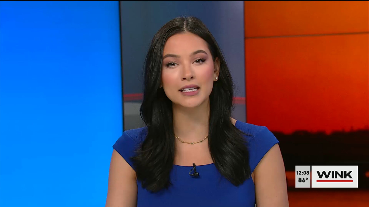 03.03 - 17.00.00 - The WINK Noon News  ᴺᵉʷ. Midday news update..ts_snapshot_14.20.161