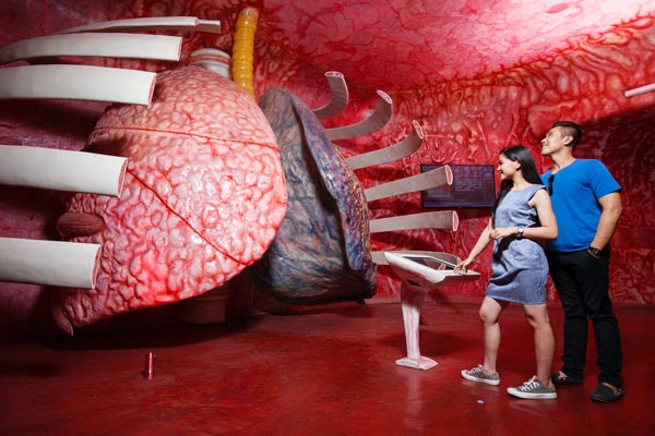 wahana di The Bagong Adventure