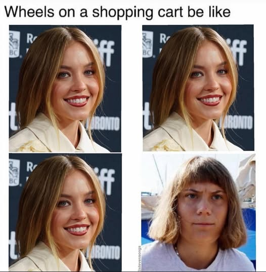 540996185-1297238195469924-3344098779336