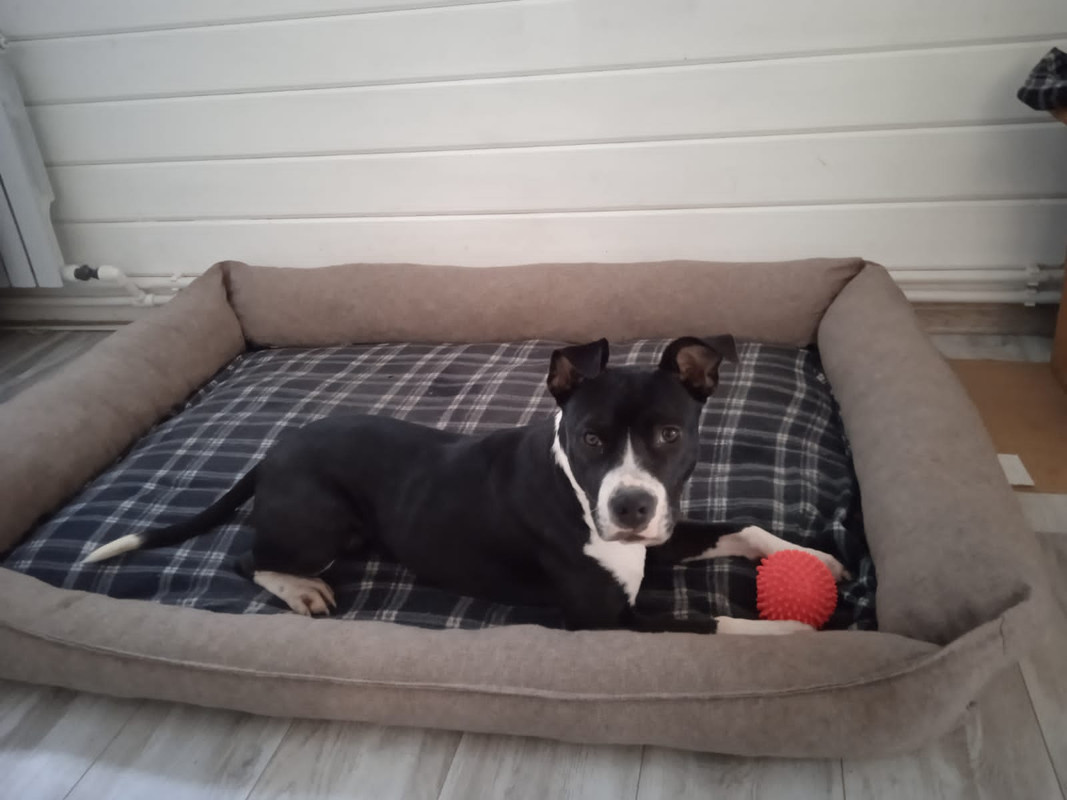 0D87261E-F5D5-429D-BB96-5A19E773BD20