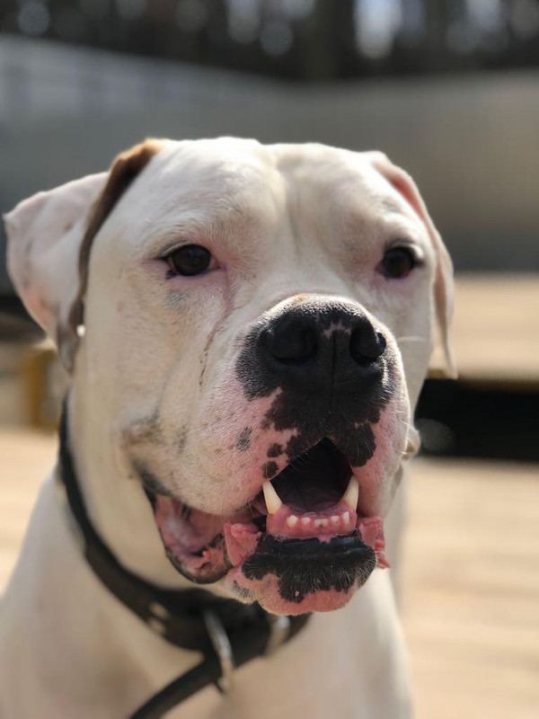 315A71E6-CEB8-4CD4-BC25-5A29DA03AF9E