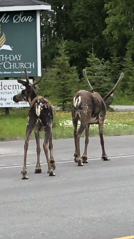 7A7D3F1B-0FDD-42D0-9F75-7D90D1E0B473