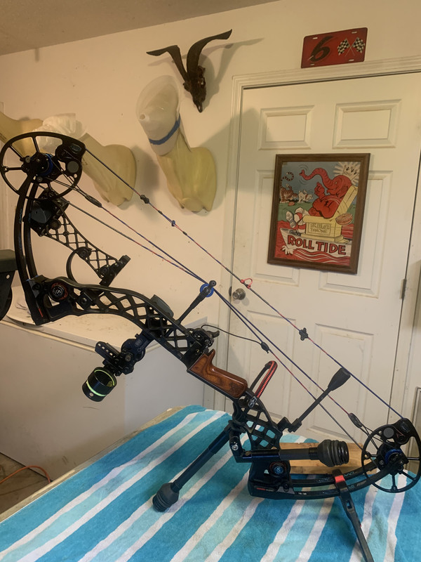 B2EBCE06-F868-4ACD-803D-B7E4A7779221