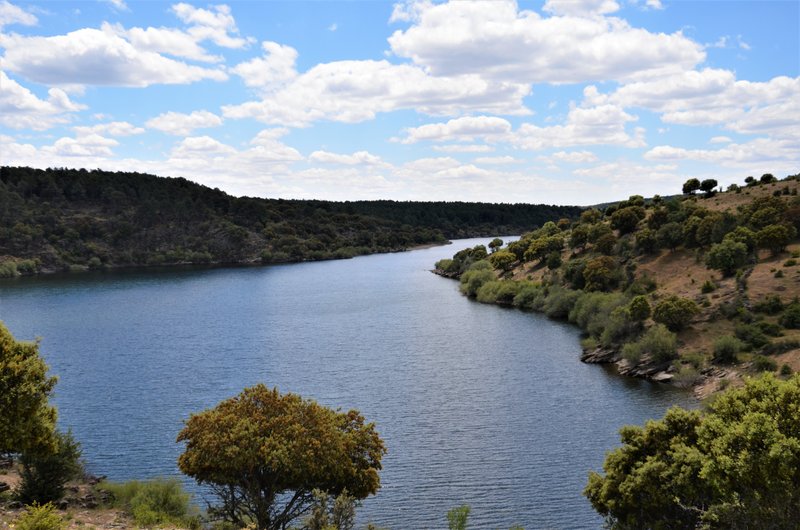 EMBALSE PUENTES VIEJAS, FORTINES Y ANIMALES-24-5-2014-MADRID - Paseando por España-1991/2016 (22)