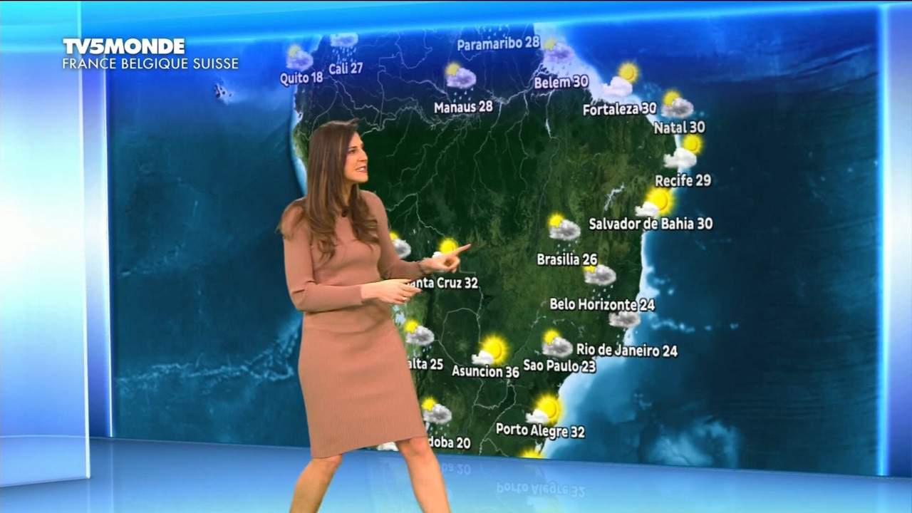 01.02 - 17.26.00 - Météo. Le bulletin météorologique international.ts_snapshot_07.55.035