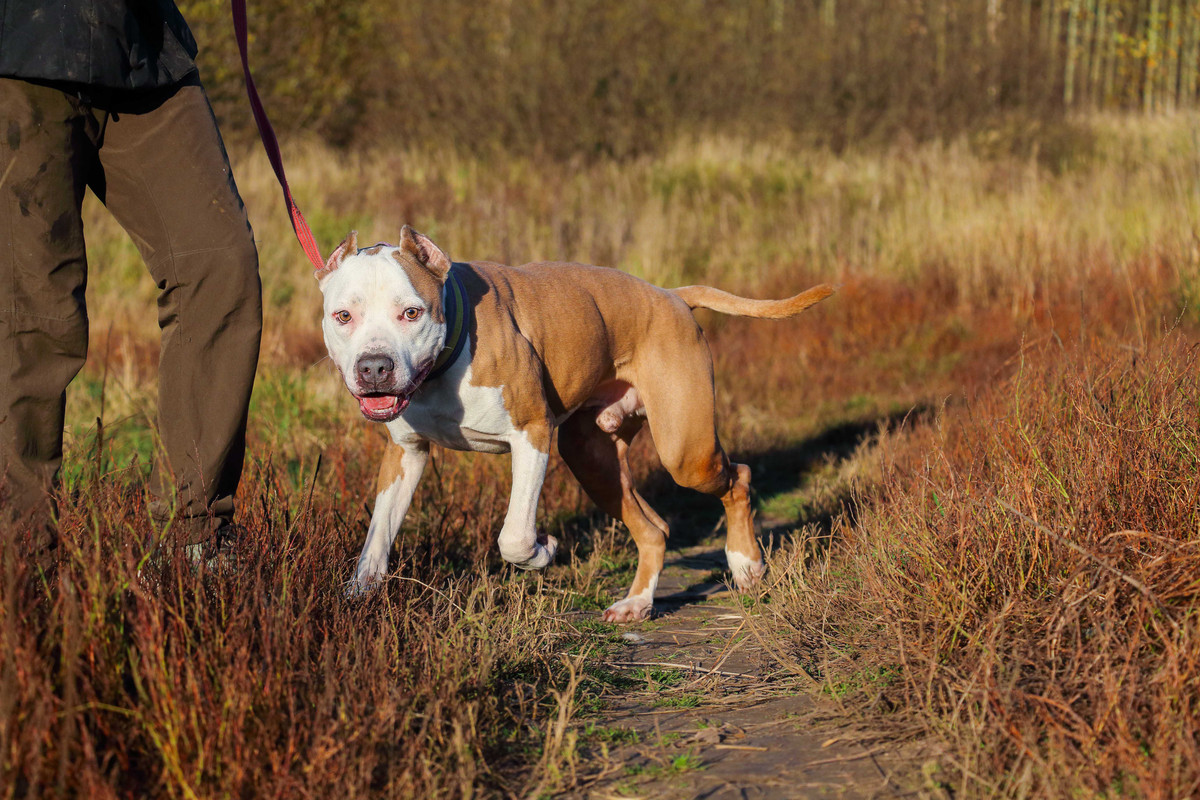 DD004FEA-A670-4DC4-88E7-997C9E9DF5CD