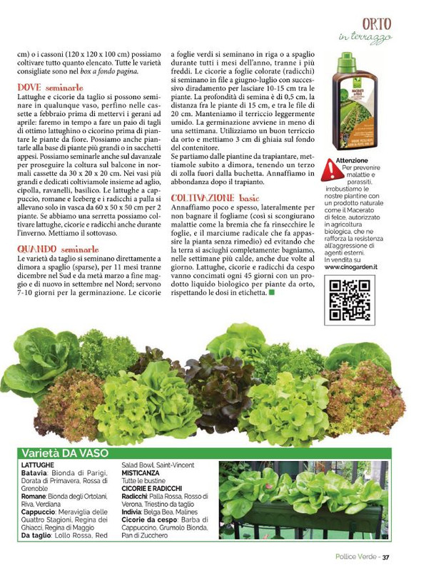 Pol Ver Mar-Apr 2022 (8)