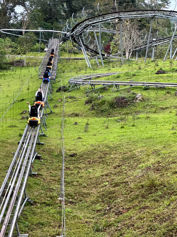 LINE_ALBUM_清邁動物園_231210_57