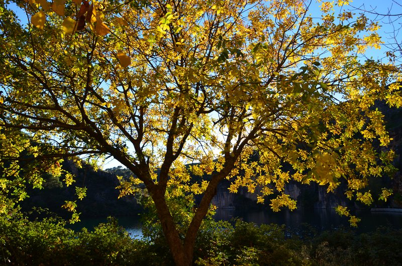 CAÑON DEL RIO GUADIELA-2011/2015-CUENCA - Paseando por España-1991/2016 (70)