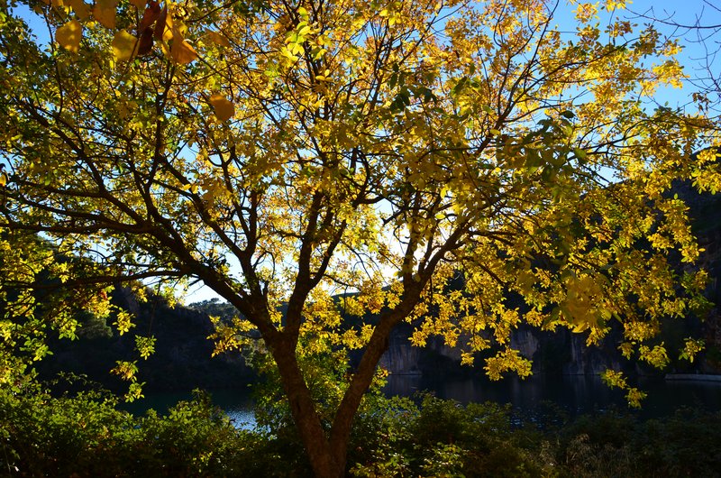 CAÑON DEL RIO GUADIELA-2011/2015-CUENCA - Paseando por España-1991/2024 (70)