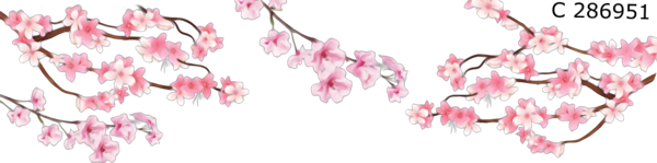 https://i.postimg.cc/65dvQmh6/1-CA0-DD89-A297-4579-B8-F3-96-DC36-BFF3-EF.png