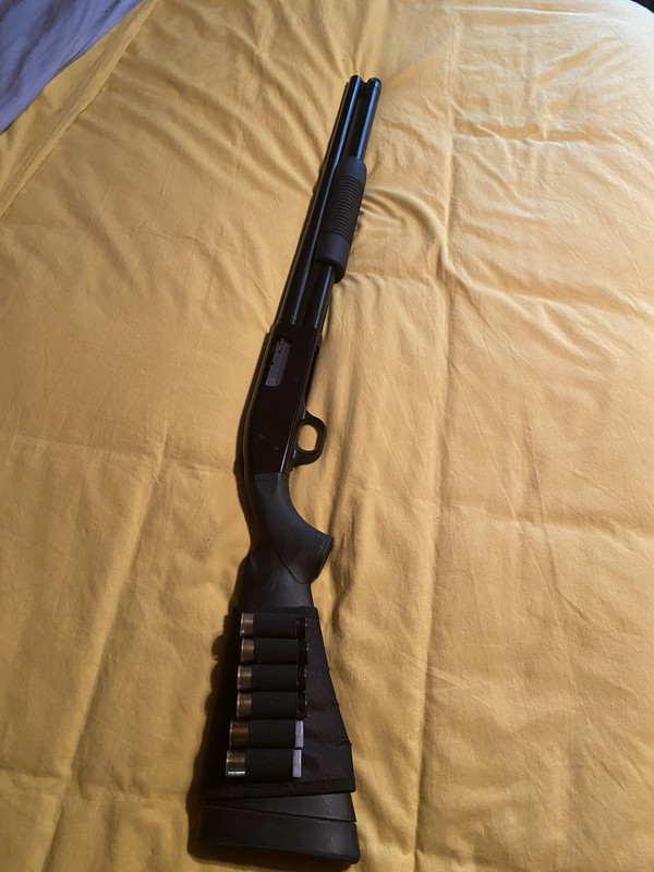 413FC273-F547-4831-A111-BD64465E38D7