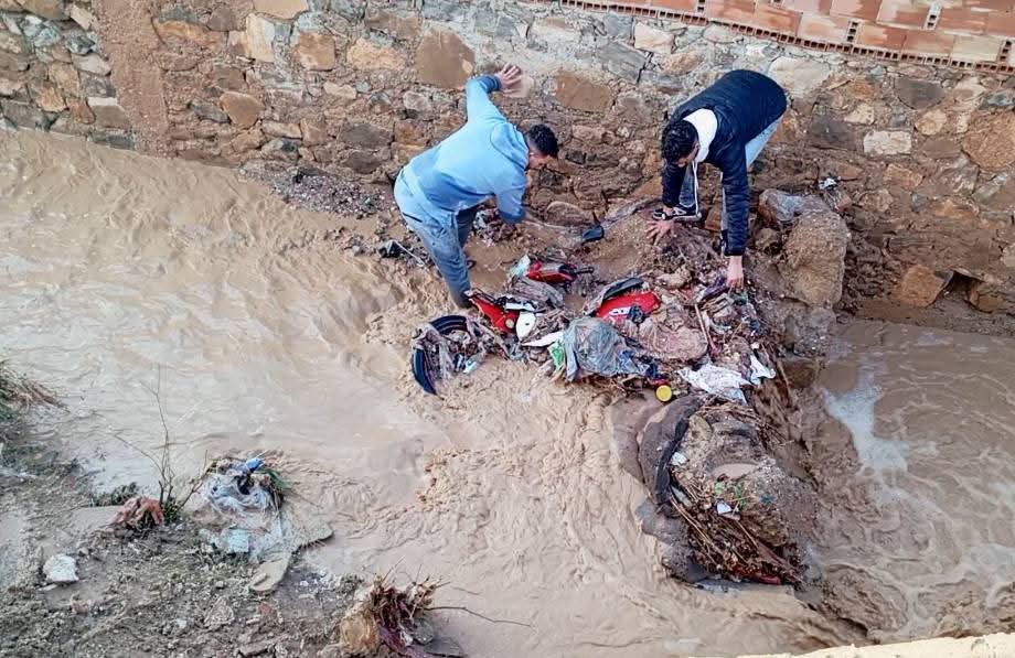 598579645-1232544482096136-1648288683349436161-n