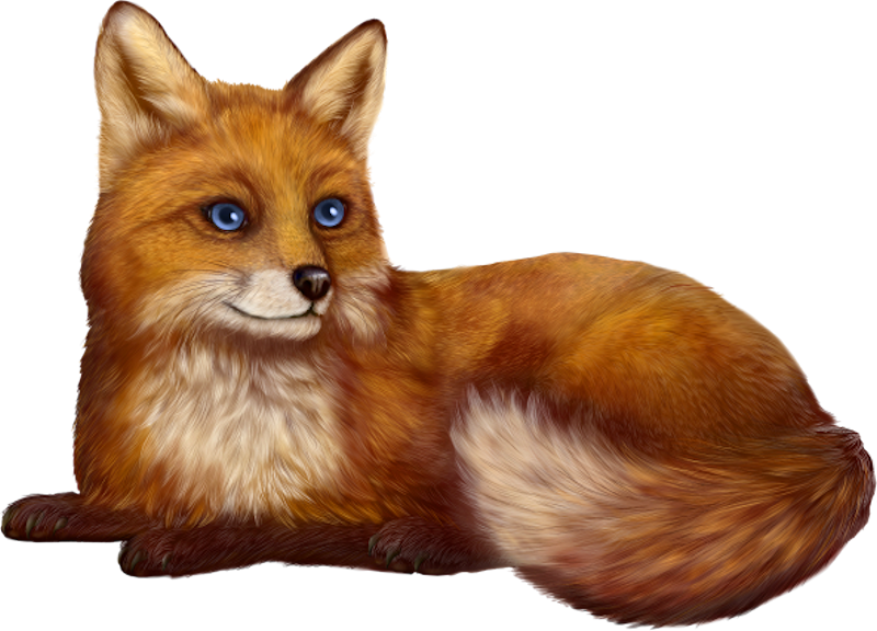 IPD_AH_Element (105)