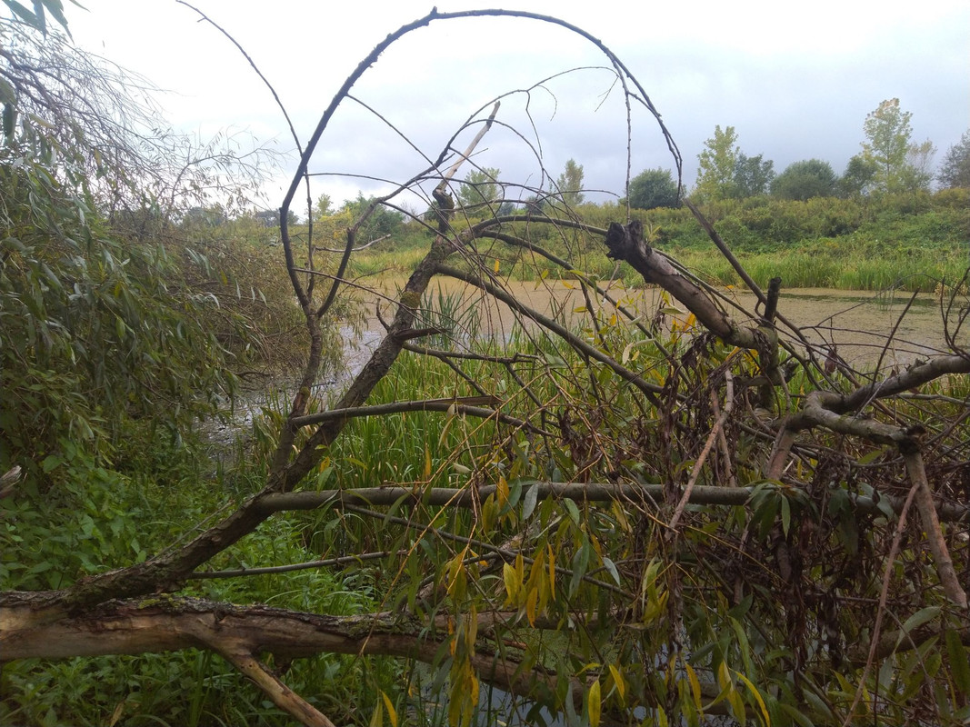 IMG-20210918-093149.jpg