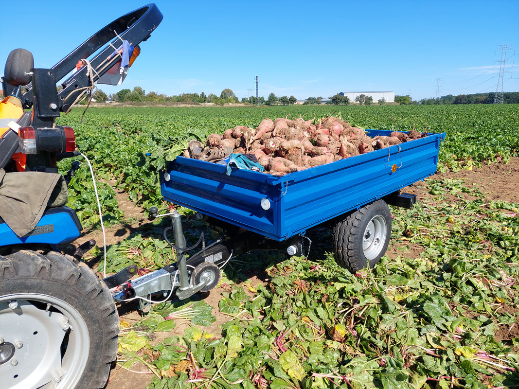 20250920_115958_090952