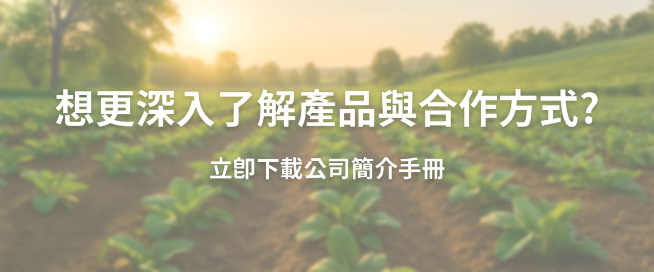 深入了解產品與合作方式