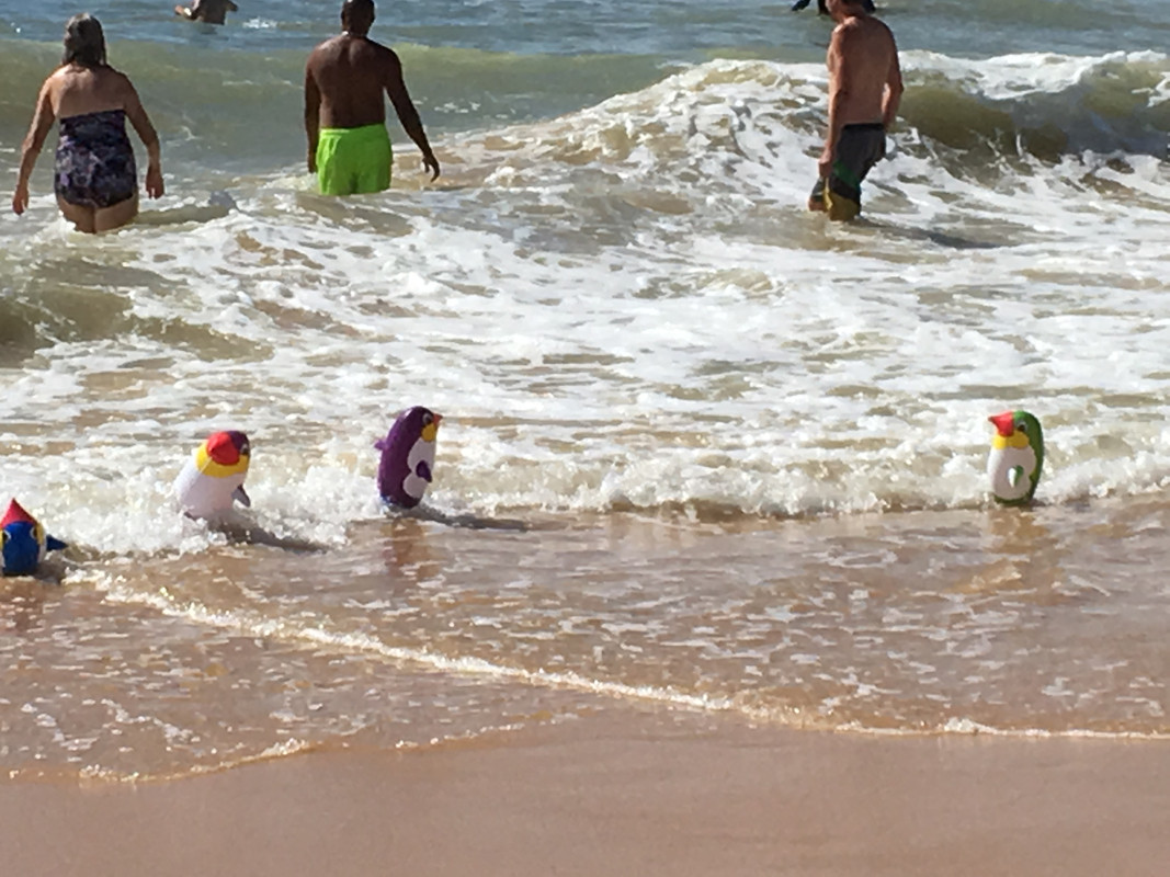 AC077783-B013-42C1-AE06-DFE9A14F6F3F