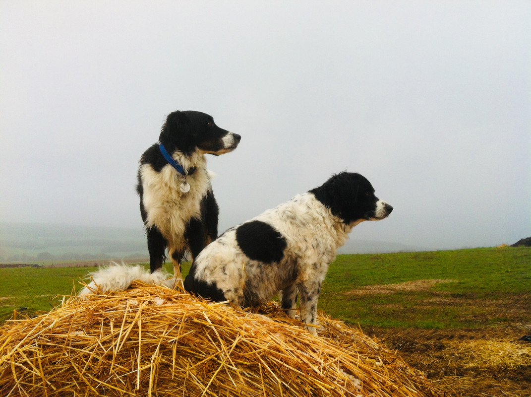 1608E112-74CE-46A1-AA6F-527482BB0535