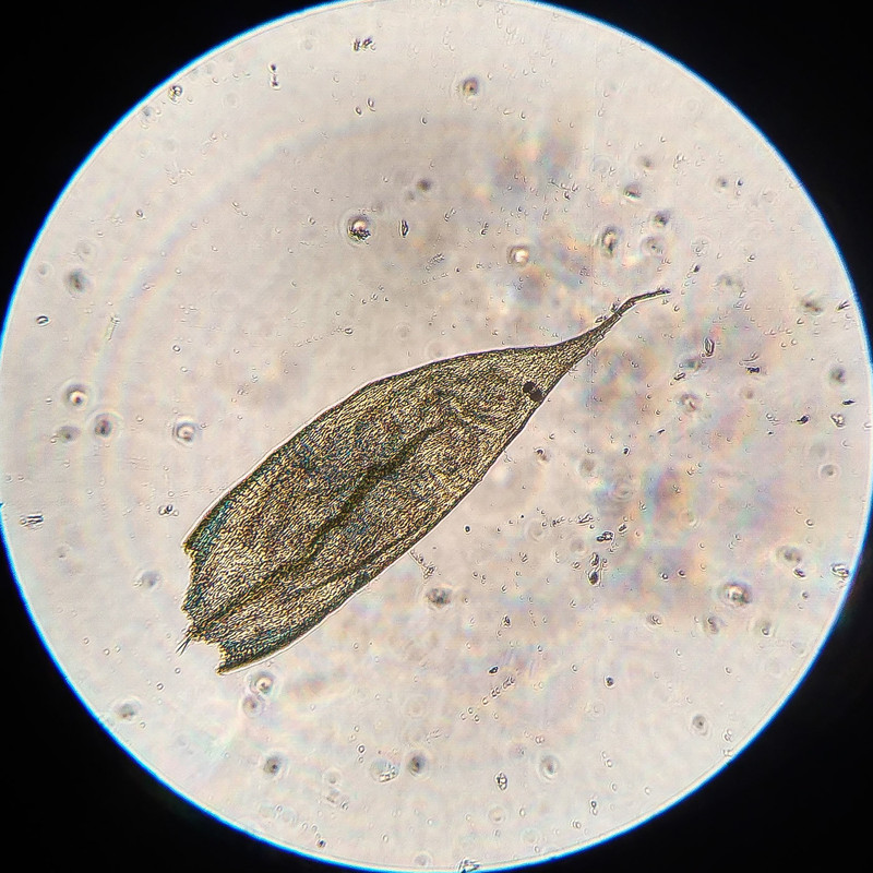 IMG 20250616 212912 HDR