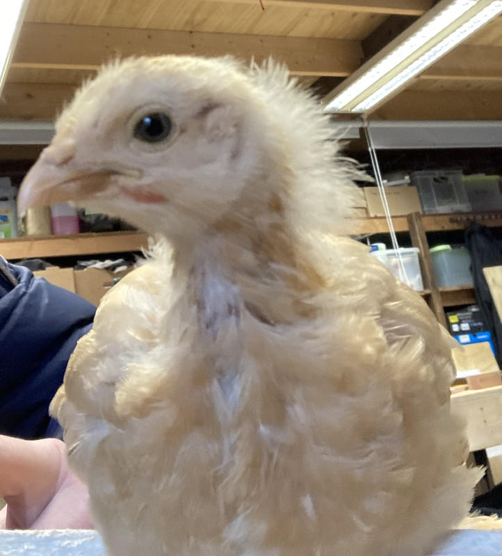 86E6F33B-BCA3-4867-951C-82CB3224B826