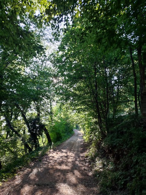 IMG-20220625-180839