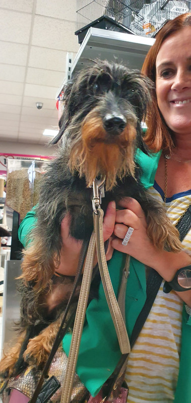 [Image: 20221015-155026.jpg]