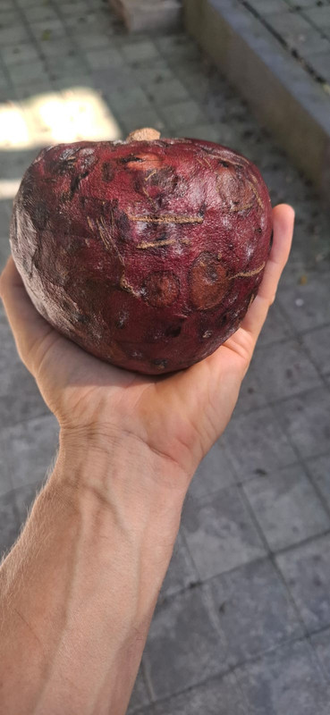 Whats App Image 2026 03 10 at 7 47 57 PM (1)