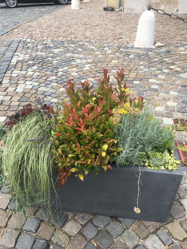 ECB879D6-1FDD-4D86-B49F-7613AADAA382