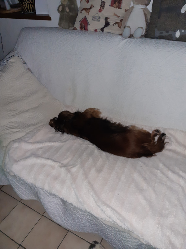 [Image: 20220617-195151.jpg]