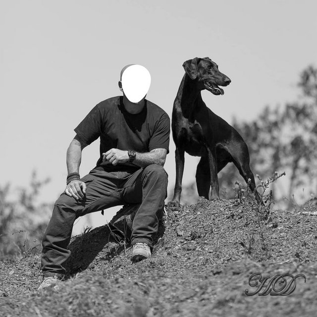 N-Zeus-B-W-HD.jpg
