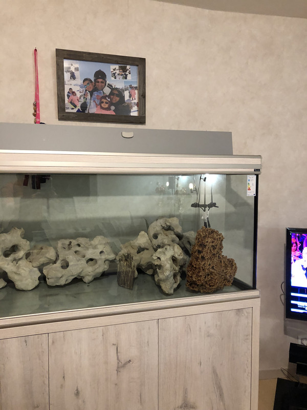 CD216787-EF8A-4507-BB27-B37CFB671CC9