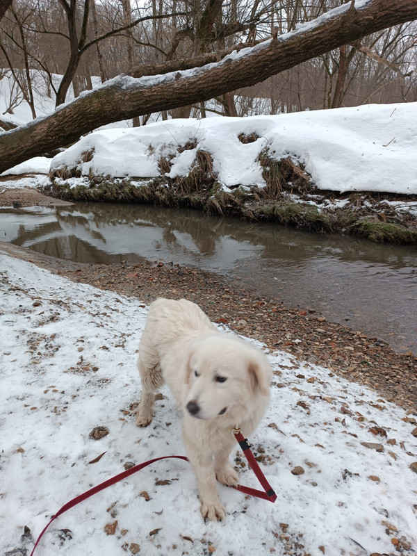 A3A4A7ED-B482-4444-AFDA-9E45FC07D973