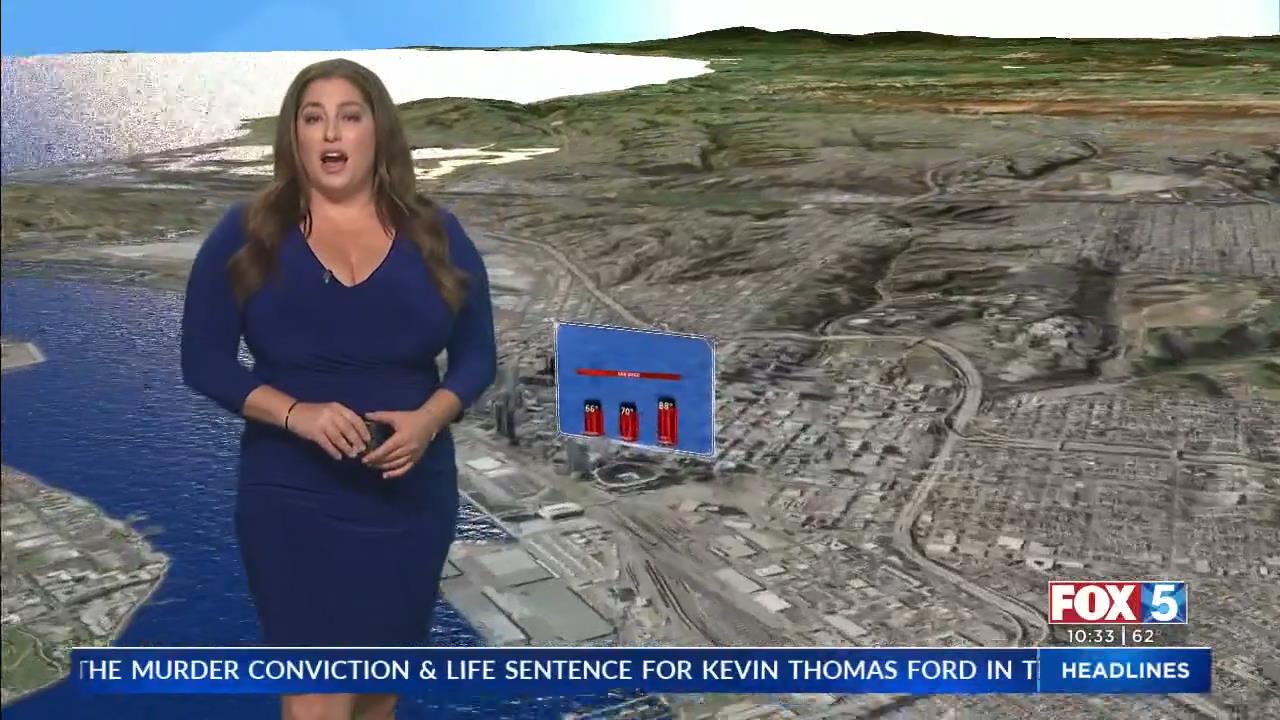 05.30 - 06.00.00 - FOX 5 News at 10 00pm  ᴺᵉʷ. Local news, weather, t....ts_snapshot_34.47_[2021.05.