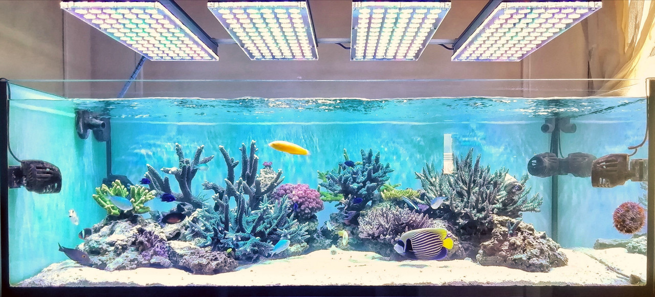 IMG-20200503-202405 (3)