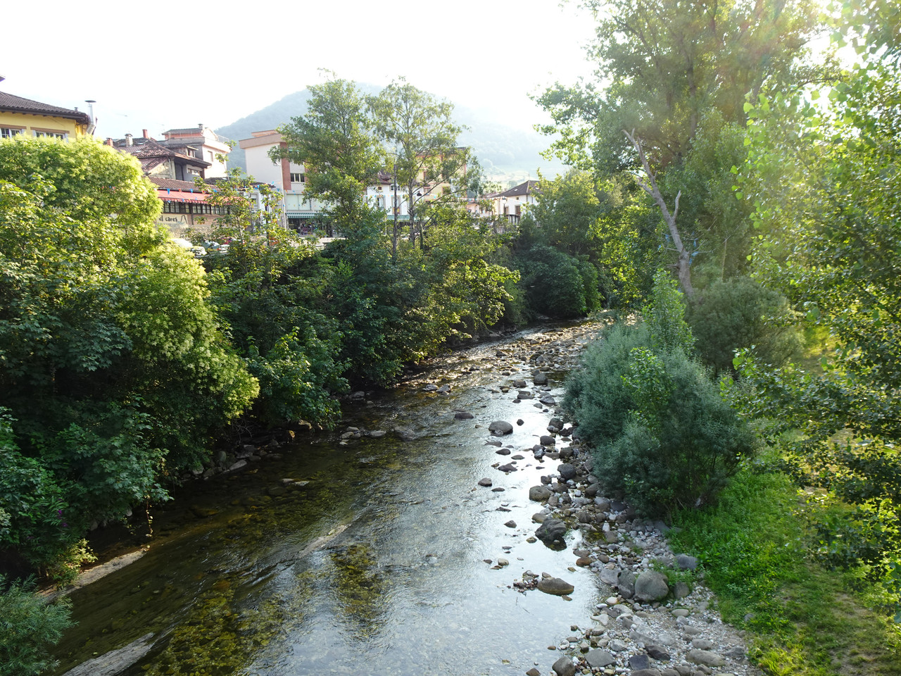 DSC02071