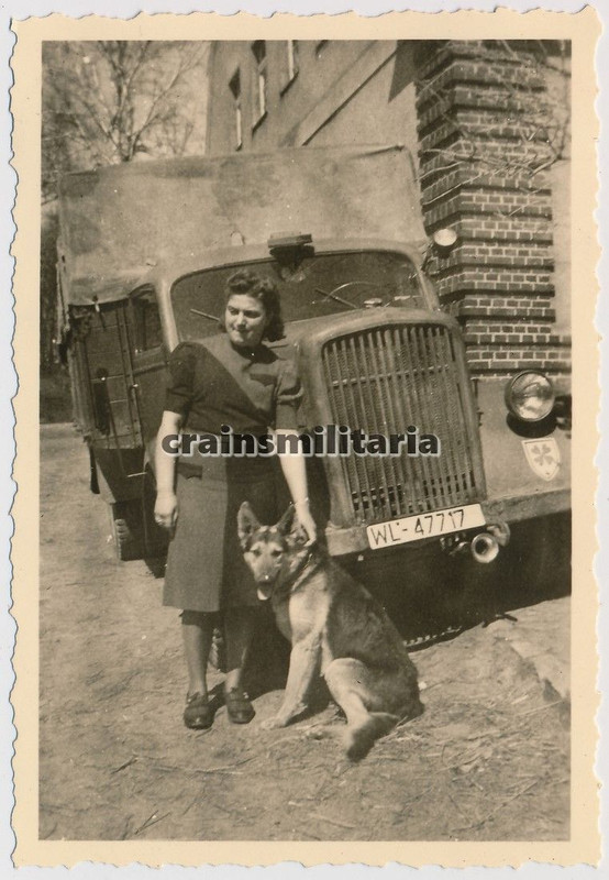 Orig. Foto Frau m. Schäfer Hund b. Opel Blitz Lk