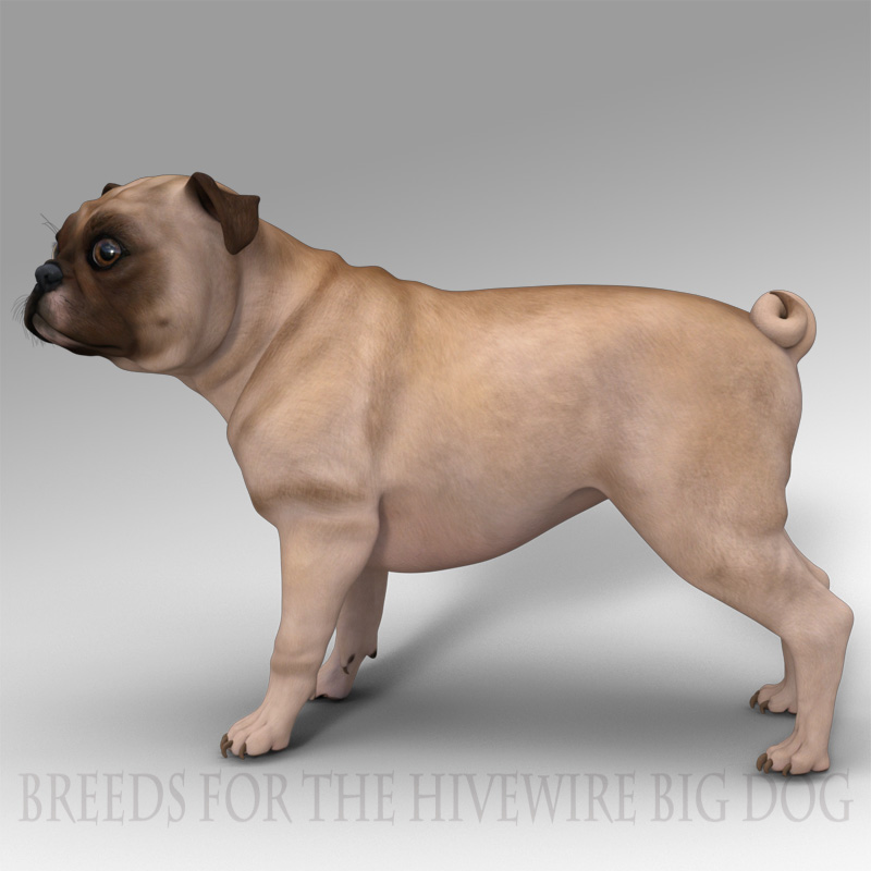 Breeds for the HW Dog - Chug