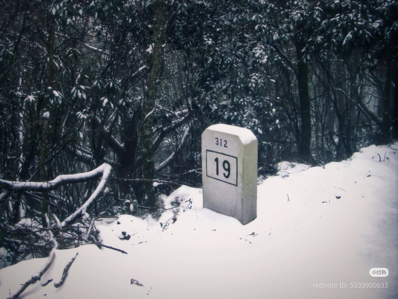 photo 17 2025 12 17 21 11 57