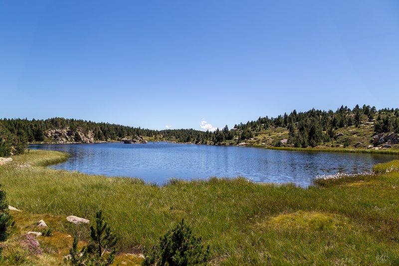LES BULLOSES (LES BOUILLOUSES) - CERDANYA: ESTANYS MALNIU, LA PERA, BULLOSES (11)