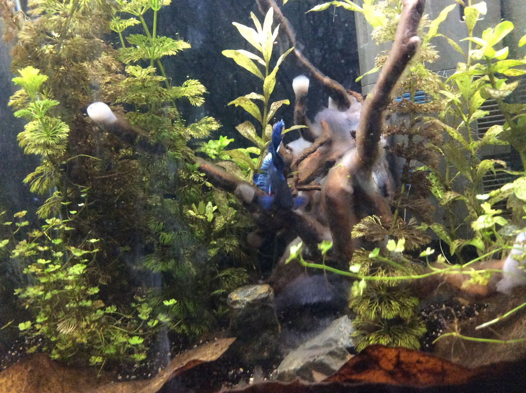 86C8D10A-B6D4-4411-9D90-EF0FB442367C