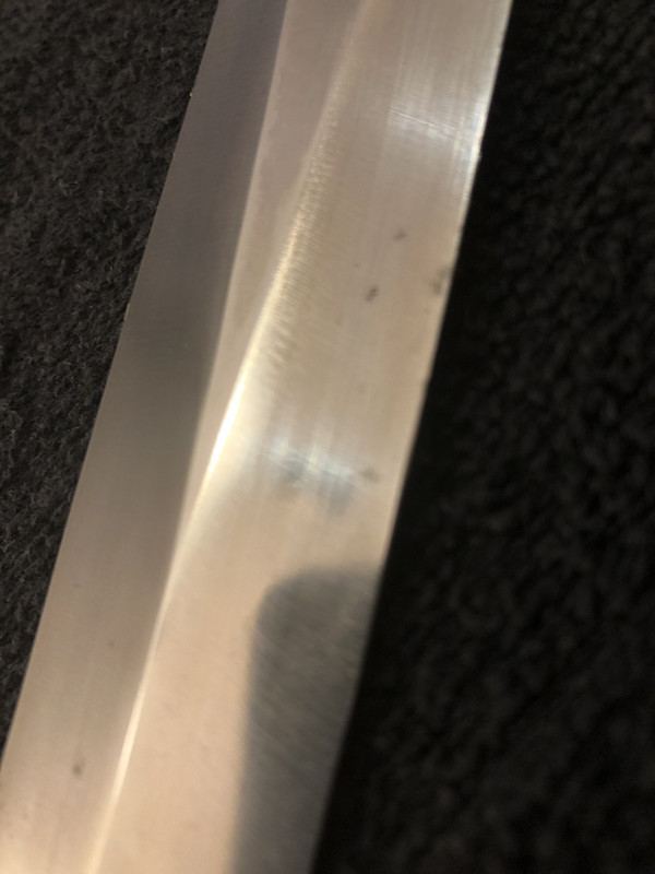 305E15B0-9082-43C9-A2D4-23B2EC876B9A