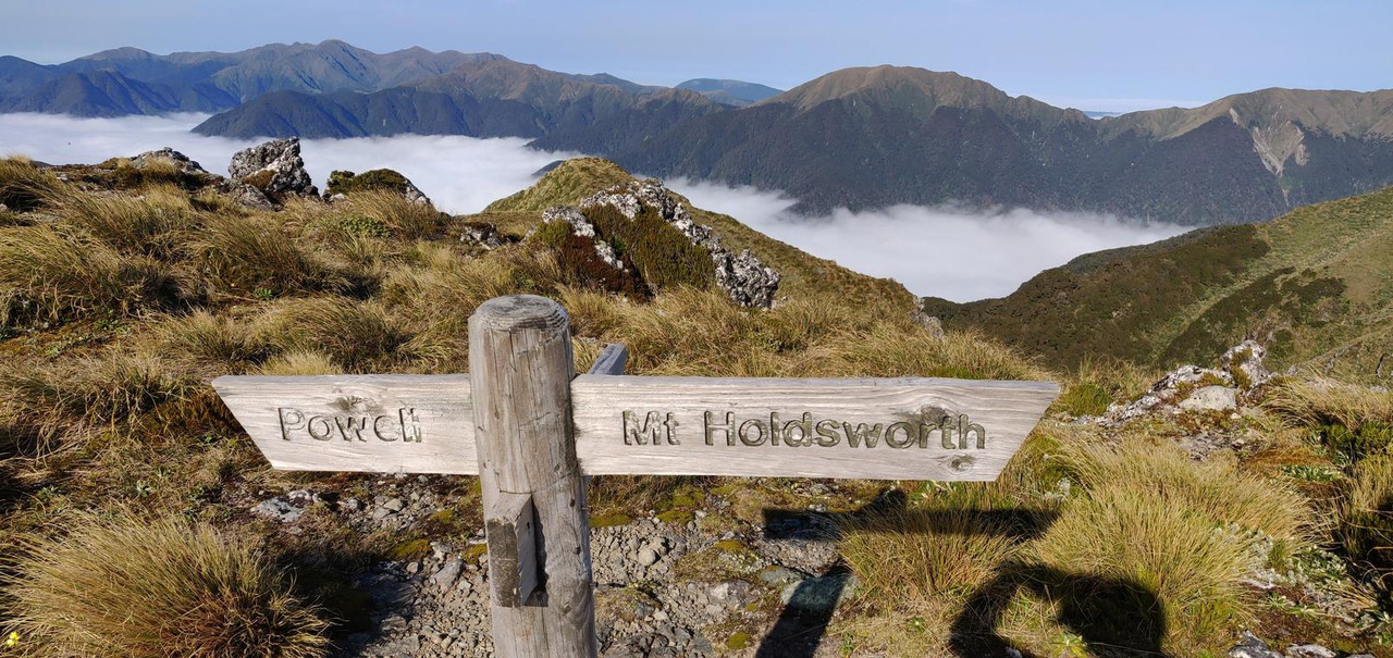 Mt Holdsworth - Jumbo loop Trekking en Isla Norte NZ - Forum Oceania