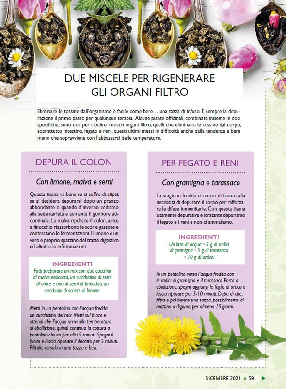 Sal Nat Dic 2021 (10)